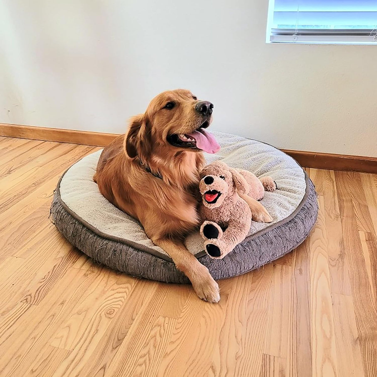 Golden Retriever Kuscheltier 53cm - Weicher Plüsch Hund Stofftier kuschelig Geschenk Kinder