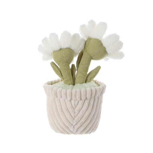 Apricot Lamb Plüsch Gänseblümchen Weiß - Weiches Daisy Kuscheltier für Baby & Kinder